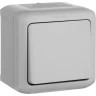 Выключатель LEGRAND Quteo 10 A 250 B IP 44 Серый 782330